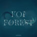 New Musik Radar - Koi Forest Page Image