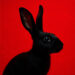 New Musik Radar - RABBIT Page Image