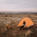 New Musik Radar - THE CHASE Page Image