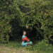 New Musik Radar - The Lesson Page Image
