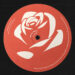 New Musik Radar - White Rose Page Image