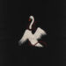 New Musik Radar - Everything I Wanted Page Image