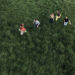 New Musik Radar - Ifyoucall Page Image