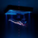 New Musik Radar - Open Invite (feat. KAYTRANADA) Page Image