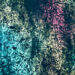 New Musik Radar - Around me Page Image