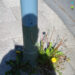 New Musik Radar - Spin Cycle Page Image