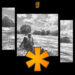 New Musik Radar - Sugar.Honey.Iced.Tea Page Image