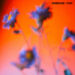 New Musik Radar - Yours Page Image