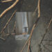 New Musik Radar - Fever Too High Page Image