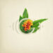 New Musik Radar - Evolve Page Image