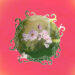 New Musik Radar - Ride Tandem Page Image