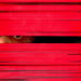 New Musik Radar - Beast In The Flesh Page Image