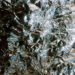 New Musik Radar - Eyes Off You Page Image